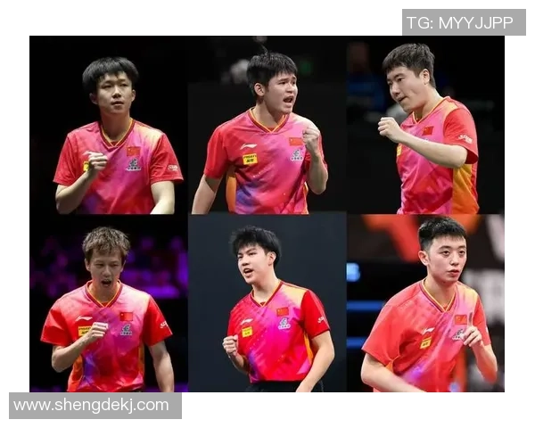 乒乓球团队协作实力榜单揭晓深圳乒乓球队荣获第五名佳绩