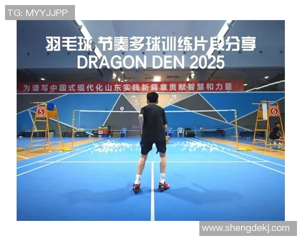 羽毛球盛宴：深入武汉羽毛球队的训练与比赛节奏探秘
