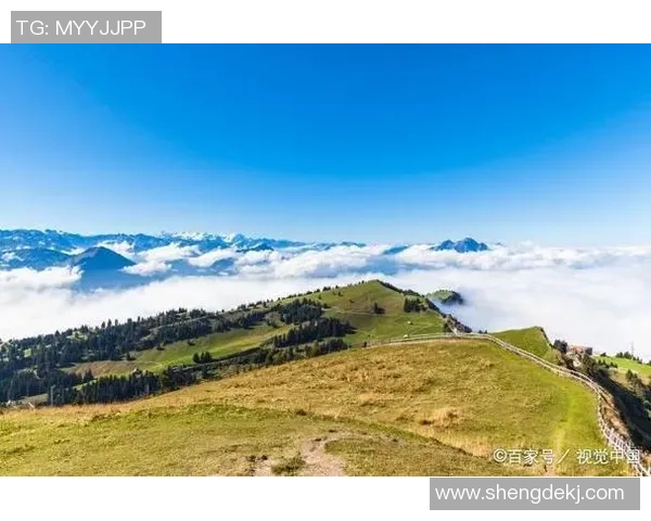 足球迭戈的传奇之路从草根到巅峰的奋斗与荣耀