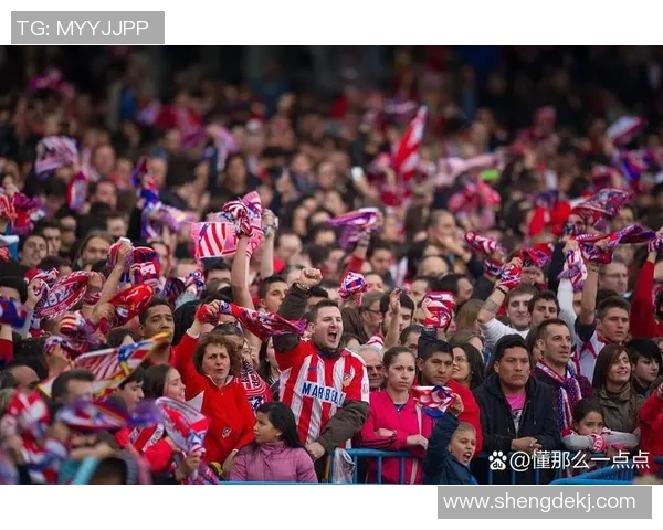 足球开赛了激情四溢球迷欢呼助威精彩瞬间尽在绿茵场上尽情享受比赛的魅力与乐趣