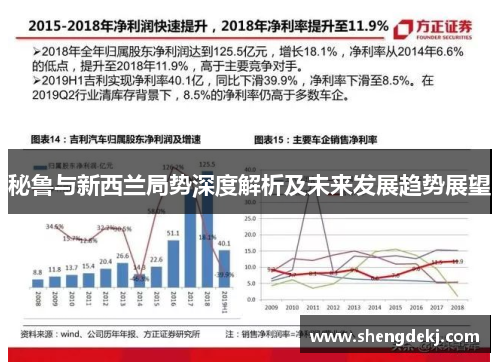 秘鲁与新西兰局势深度解析及未来发展趋势展望