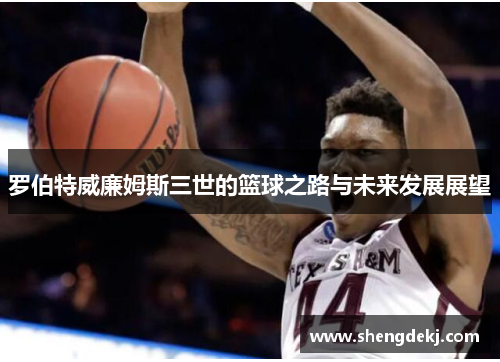 罗伯特威廉姆斯三世的篮球之路与未来发展展望