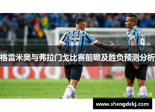 格雷米奥与弗拉门戈比赛前瞻及胜负预测分析
