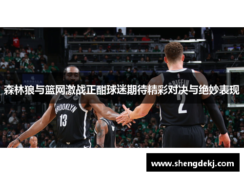森林狼与篮网激战正酣球迷期待精彩对决与绝妙表现