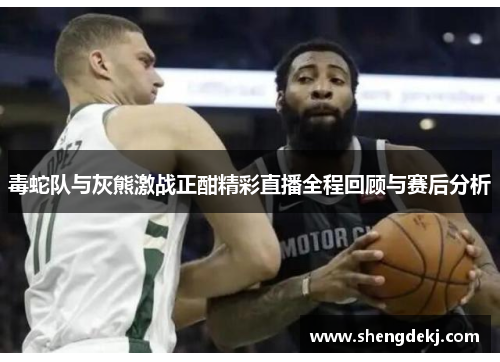 毒蛇队与灰熊激战正酣精彩直播全程回顾与赛后分析