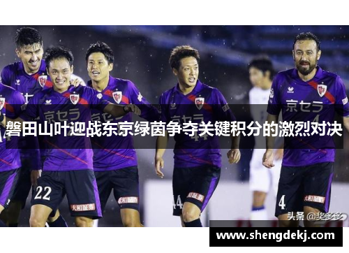 磐田山叶迎战东京绿茵争夺关键积分的激烈对决